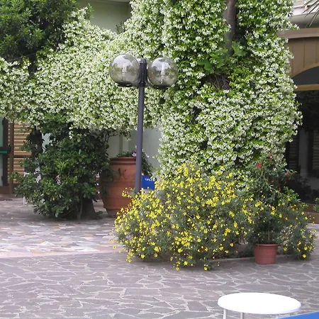 Hg Cappelli 3*